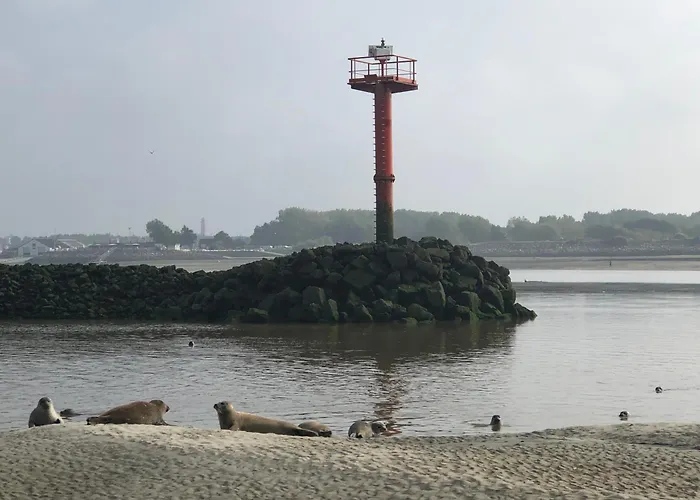 L\'Escapade - Hardelot Plage - Parking Prive